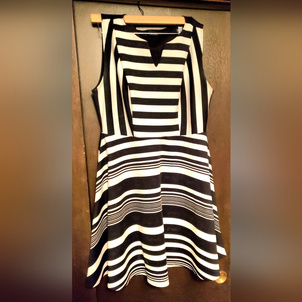 Torrid skater dress